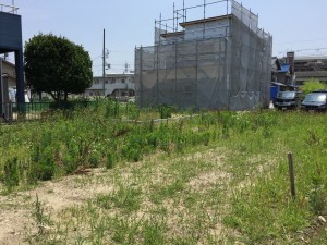 草刈り