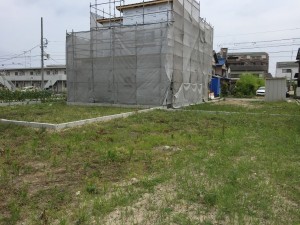 草刈り後。