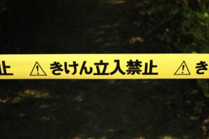 危険